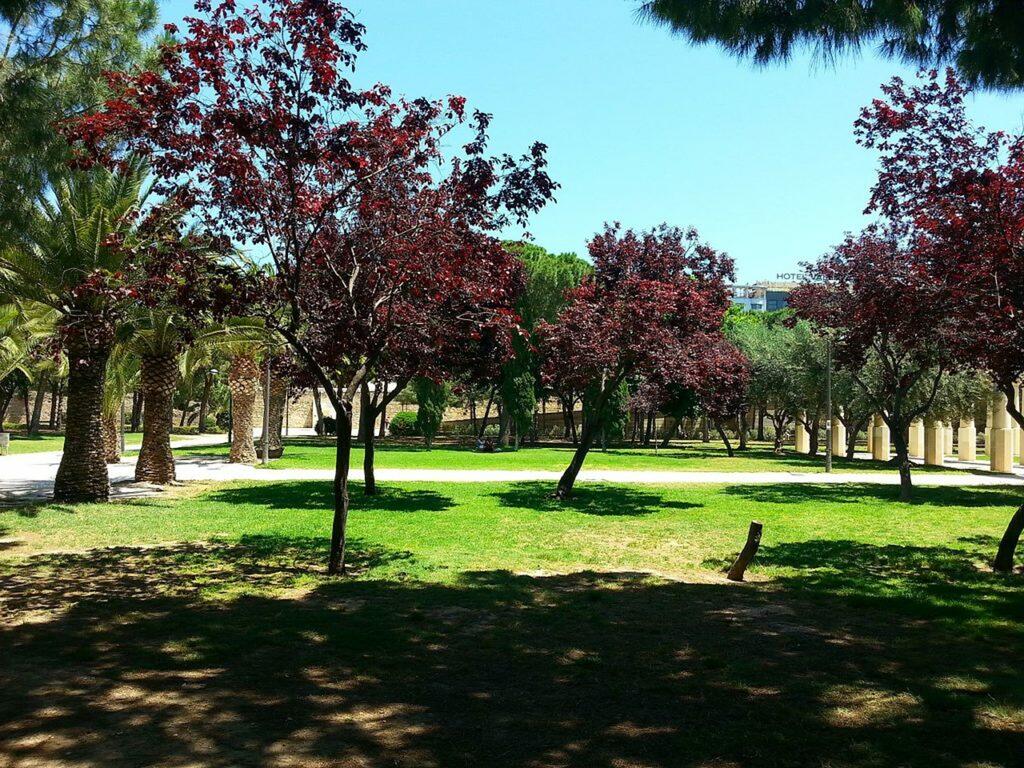 parque en valencia